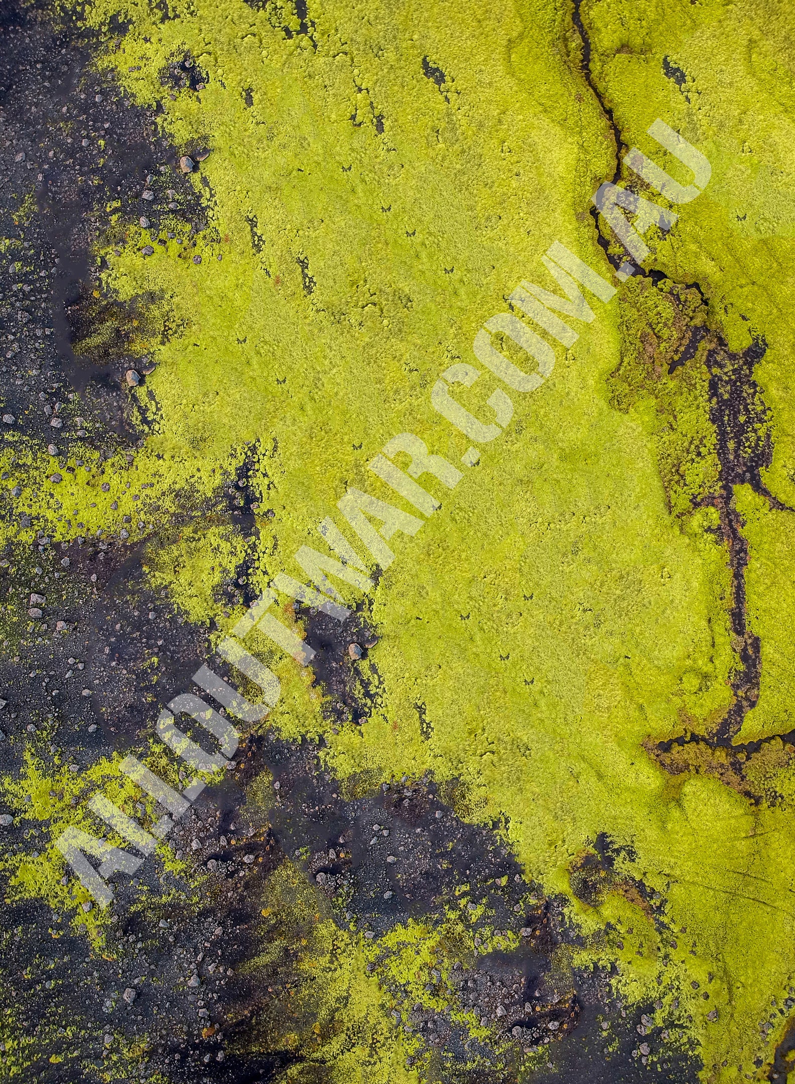 Grassland battle mat 60x44 — Age of Sigmar natural rubber, Australia